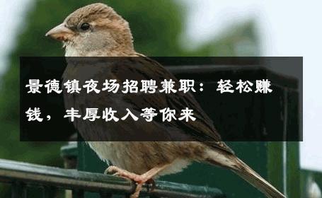 景德镇夜场招聘兼职：轻松赚钱，丰厚收入等你来