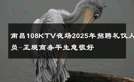 南昌108KTV夜场2025年招聘礼仪人员-正规商务平生意很好