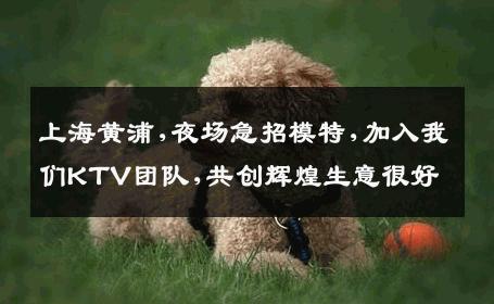 上海黄浦,夜场急招模特,加入我们KTV团队,共创辉煌生意很好