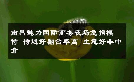 南昌魅力国际商务夜场急招模特-待遇好翻台率高 生意好非中介