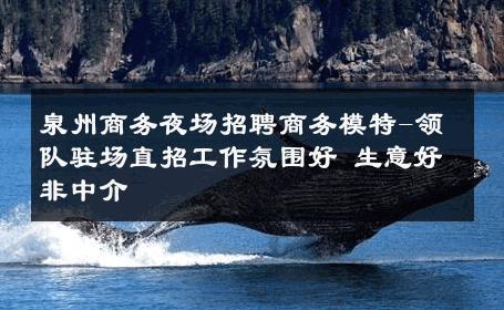 泉州商务夜场招聘商务模特-领队驻场直招工作氛围好 生意好非中介