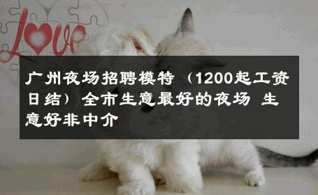 广州夜场招聘模特（1200起工资日结）全市生意最好的夜场 生意好非中介