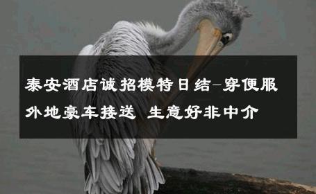 泰安酒店诚招模特日结-穿便服外地豪车接送 生意好非中介