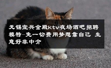 无锡宜兴金殿ktv夜场酒吧招聘模特-免一切费用梦想靠自己 生意好非中介