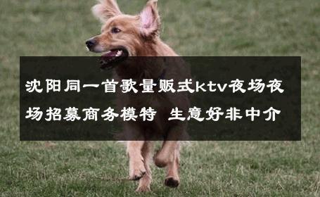 沈阳同一首歌量贩式ktv夜场夜场招募商务模特 生意好非中介