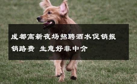 成都高新夜场招聘酒水促销报销路费 生意好非中介