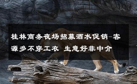 桂林商务夜场招募酒水促销-客源多不穿工衣 生意好非中介