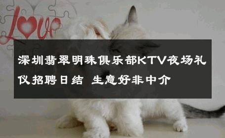 深圳翡翠明珠俱乐部KTV夜场礼仪招聘日结 生意好非中介