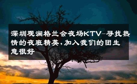 深圳观澜格兰会夜场KTV-寻找热情的夜班精英,加入我们的团生意很好