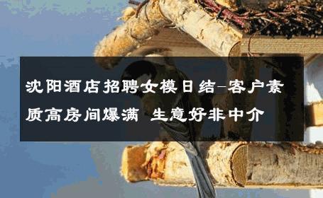 沈阳酒店招聘女模日结-客户素质高房间爆满 生意好非中介