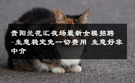 贵阳兰花汇夜场最新女模招聘-生意稳定免一切费用 生意好非中介