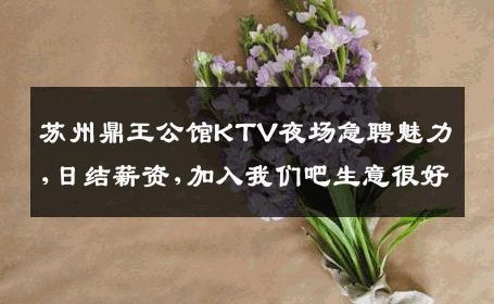 苏州鼎王公馆KTV夜场急聘魅力,日结薪资,加入我们吧生意很好