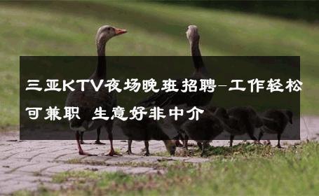 三亚KTV夜场晚班招聘-工作轻松可兼职 生意好非中介