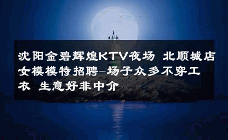 沈阳金碧辉煌KTV夜场 北顺城店女模模特招聘-场子众多不穿工衣 生意好非中介