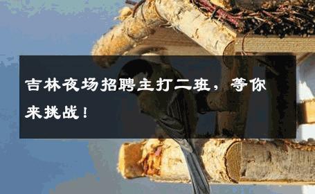 吉林夜场招聘主打二班，等你来挑战！
