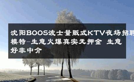 沈阳BOOS波士量贩式KTV夜场招聘模特-生意火爆真实无押金 生意好非中介