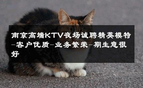 南京高端KTV夜场诚聘精英模特-客户优质-业务繁荣-期生意很好