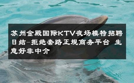 苏州金殿国际KTV夜场模特招聘日结-拒绝套路正规商务平台 生意好非中介