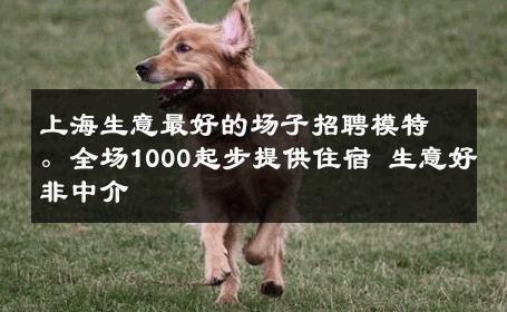 上海生意最好的场子招聘模特。全场1000起步提供住宿 生意好非中介