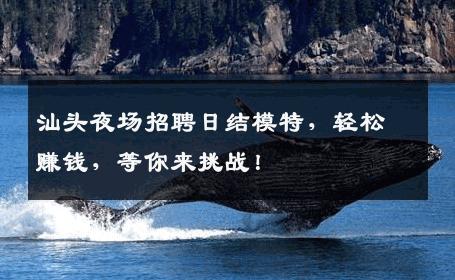 汕头夜场招聘日结模特，轻松赚钱，等你来挑战！