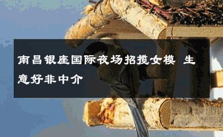 南昌银座国际夜场招揽女模 生意好非中介