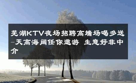 芜湖KTV夜场招聘高端场喝多送-天高海阔任你遨游 生意好非中介