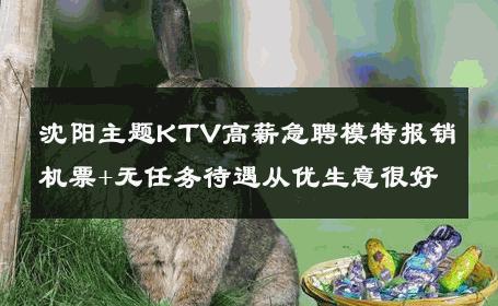 沈阳主题KTV高薪急聘模特报销机票+无任务待遇从优生意很好