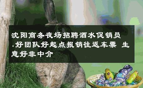 沈阳商务夜场招聘酒水促销员.好团队好起点报销往返车票 生意好非中介