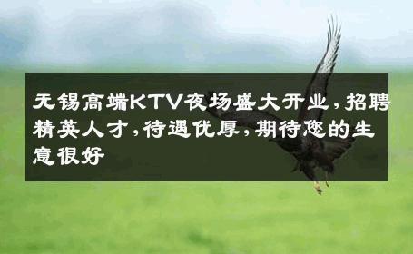 无锡高端KTV夜场盛大开业,招聘精英人才,待遇优厚,期待您的生意很好