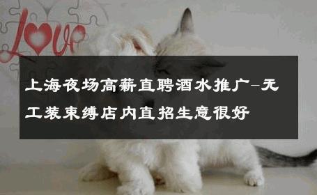 上海夜场高薪直聘酒水推广-无工装束缚店内直招生意很好
