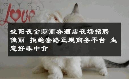 沈阳夜金莎商务酒店夜场招聘佳丽-拒绝套路正规商务平台 生意好非中介