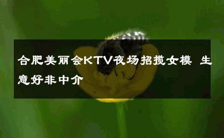 合肥美丽会KTV夜场招揽女模 生意好非中介