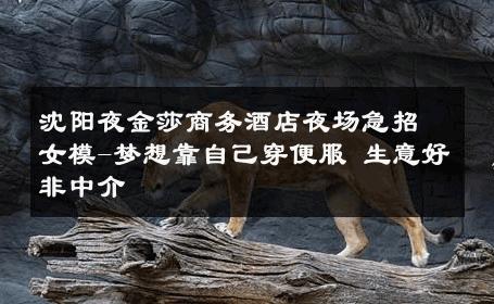 沈阳夜金莎商务酒店夜场急招女模-梦想靠自己穿便服 生意好非中介