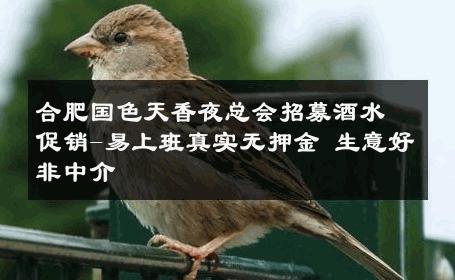 合肥国色天香夜总会招募酒水促销-易上班真实无押金 生意好非中介