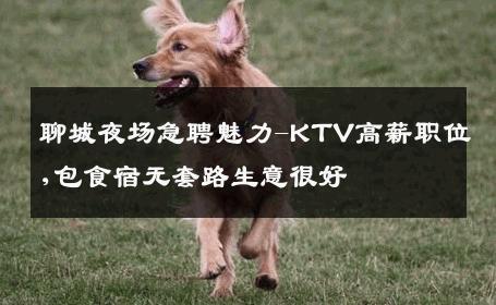 聊城夜场急聘魅力-KTV高薪职位,包食宿无套路生意很好