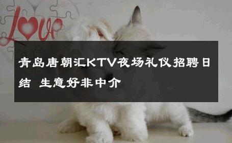 青岛唐朝汇KTV夜场礼仪招聘日结 生意好非中介
