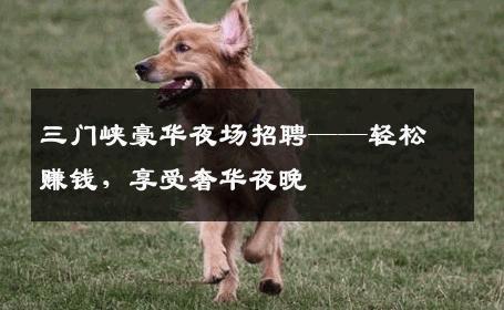 三门峡豪华夜场招聘——轻松赚钱，享受奢华夜晚