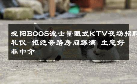 沈阳BOOS波士量贩式KTV夜场招聘礼仪-拒绝套路房间爆满 生意好非中介