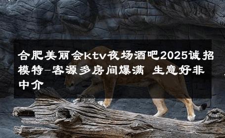 合肥美丽会ktv夜场酒吧2025诚招模特-客源多房间爆满 生意好非中介
