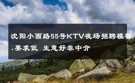 沈阳小西路55号KTV夜场招聘模特.要求低 生意好非中介