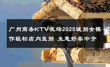 广州商务KTV夜场2025诚招女模-工作轻松店内直招 生意好非中介
