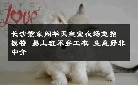 长沙紫东阁华天皇室夜场急招模特-易上班不穿工衣 生意好非中介