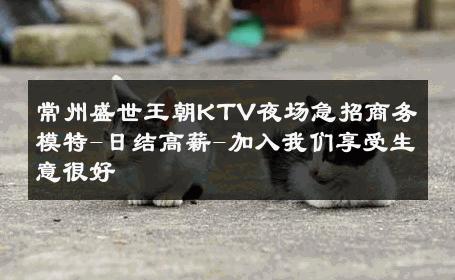 常州盛世王朝KTV夜场急招商务模特-日结高薪-加入我们享受生意很好