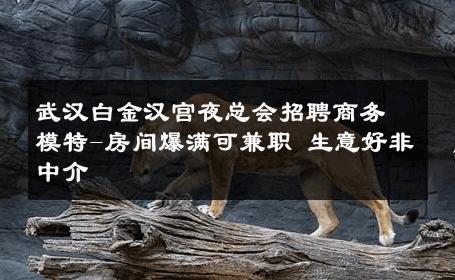 武汉白金汉宫夜总会招聘商务模特-房间爆满可兼职 生意好非中介
