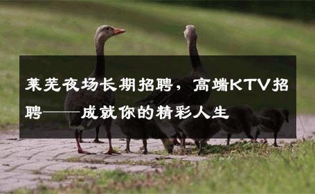 莱芜夜场长期招聘，高端KTV招聘——成就你的精彩人生