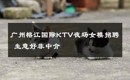 广州榕江国际KTV夜场女模招聘 生意好非中介