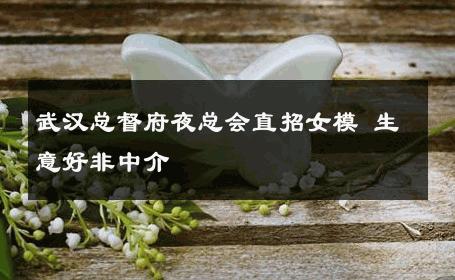 武汉总督府夜总会直招女模 生意好非中介