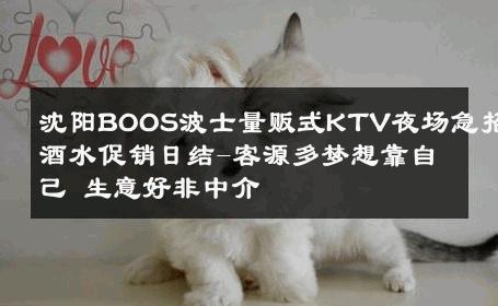 沈阳BOOS波士量贩式KTV夜场急招酒水促销日结-客源多梦想靠自己 生意好非中介