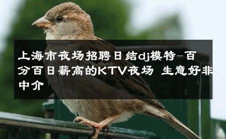 上海市夜场招聘日结dj模特-百分百日薪高的KTV夜场 生意好非中介