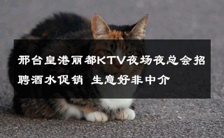 邢台皇港丽都KTV夜场夜总会招聘酒水促销 生意好非中介